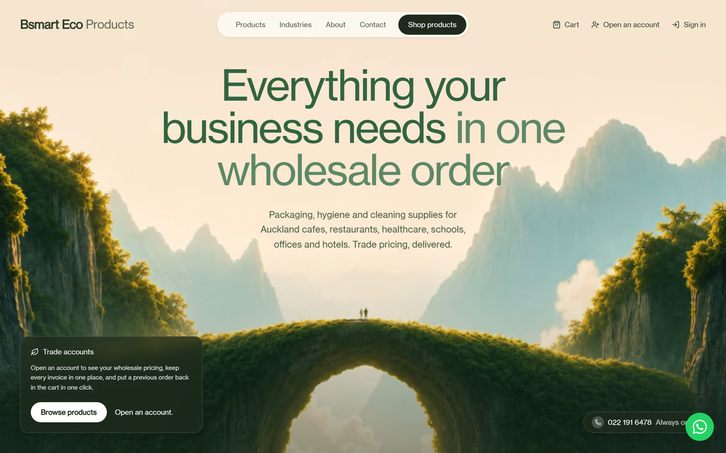 The Bsmart Eco Products website homepage
